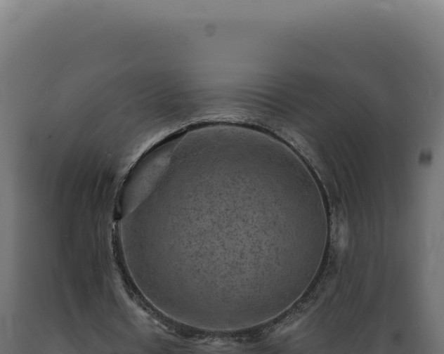 X0000089970434200707061204