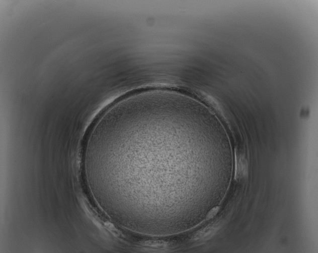 X0000089970435200707061204