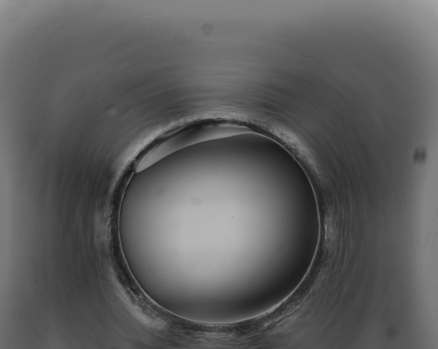 X0000089970436200707061204