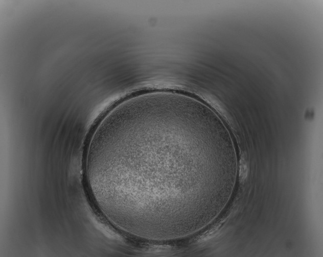 X0000089970438200707061204