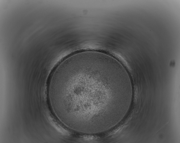 X0000089970439200707061204