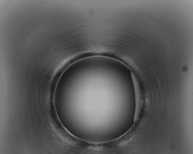 X0000089970440200707061204