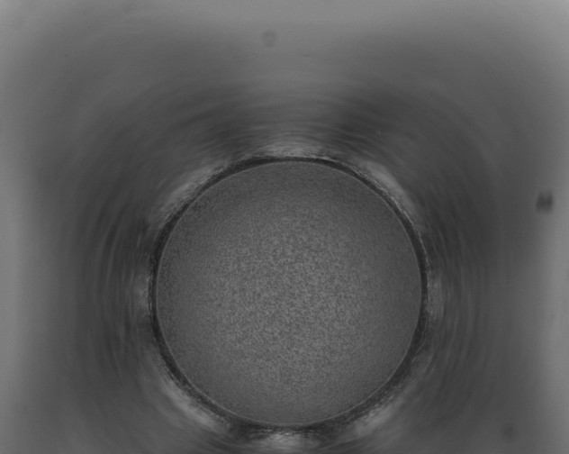X0000089970441200707061204