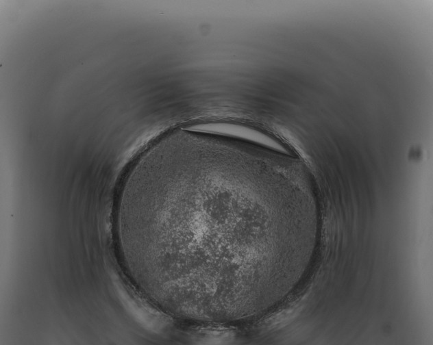 X0000089970443200707061204