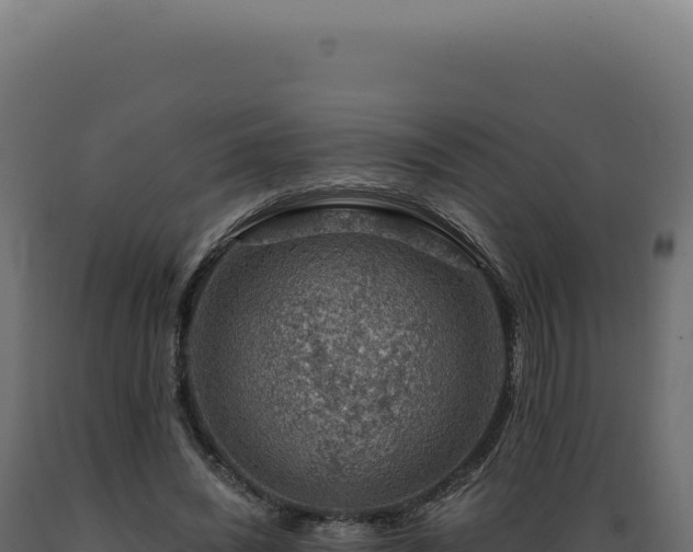 X0000089970444200707061204