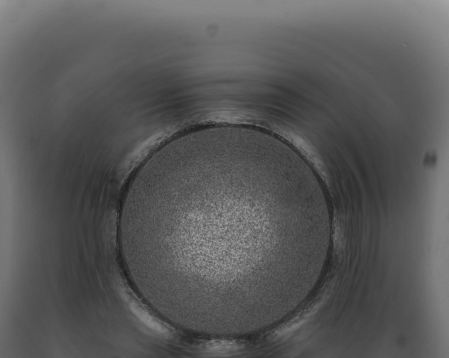 X0000089970445200707061204