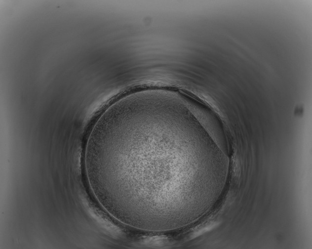 X0000089970446200707061204