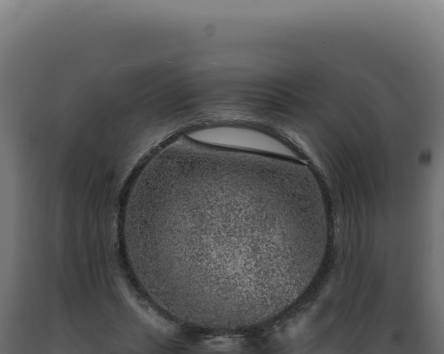 X0000089970447200707061204