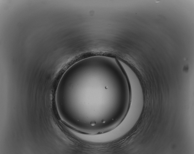 X0000089970448200707061204