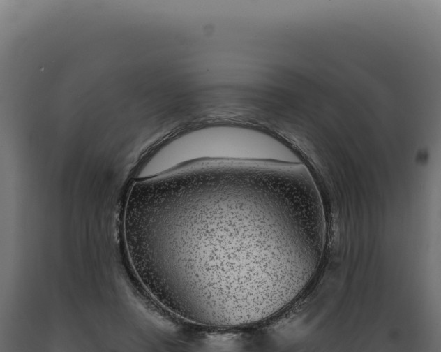 X0000089970450200707061204