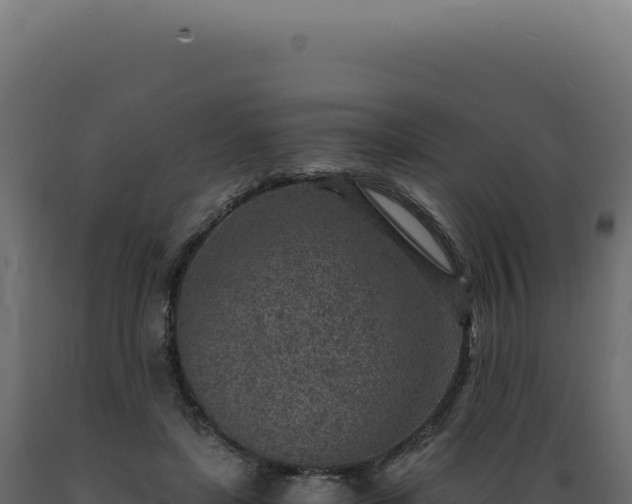 X0000089970451200707061204