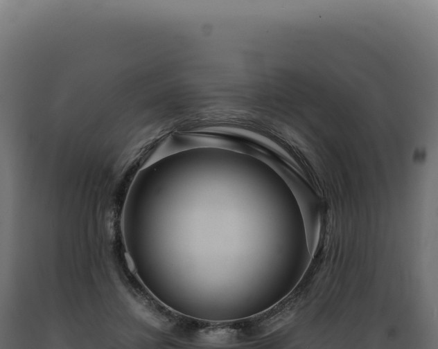 X0000089970452200707061204