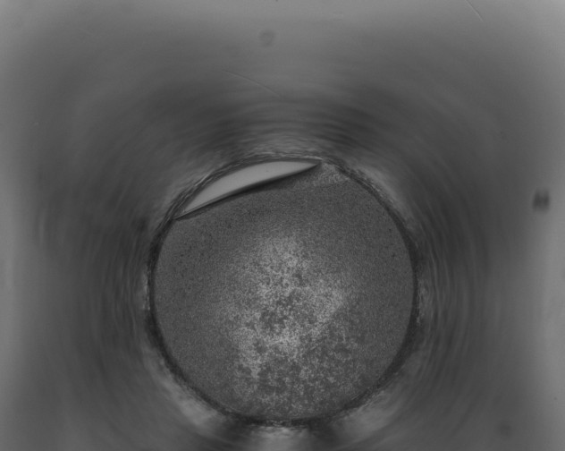 X0000089970453200707061204