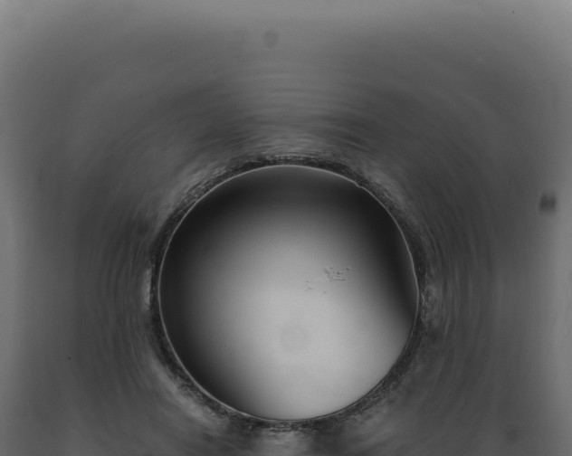 X0000089970454200707061204