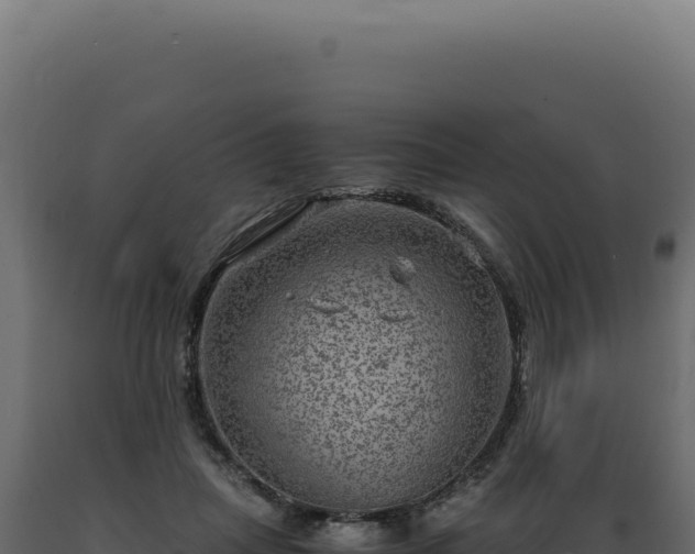 X0000089970455200707061204