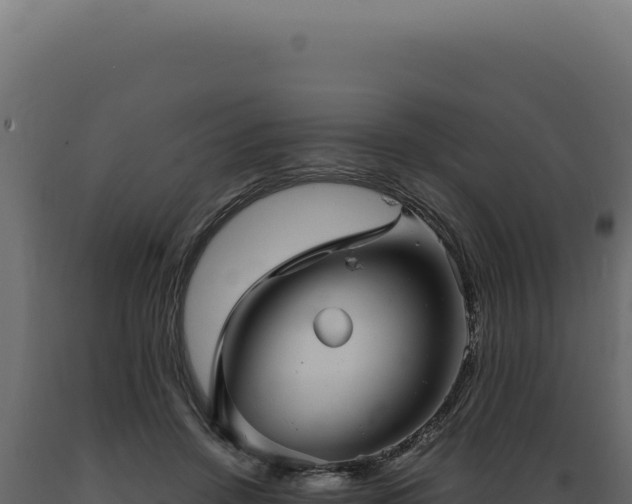 X0000089970456200707061204