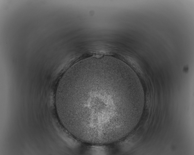 X0000089970457200707061204
