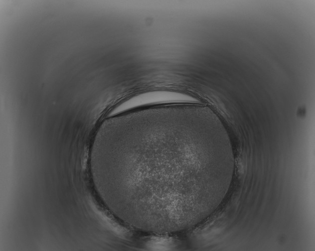 X0000089970458200707061204
