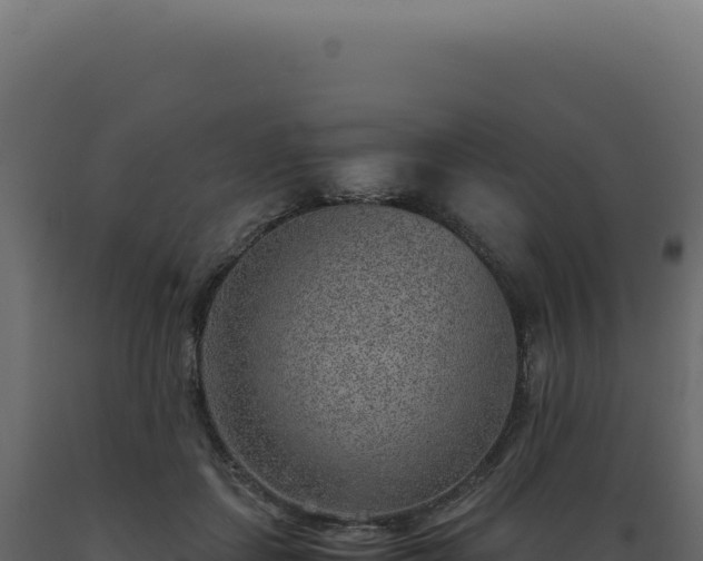 X0000089970459200707061204