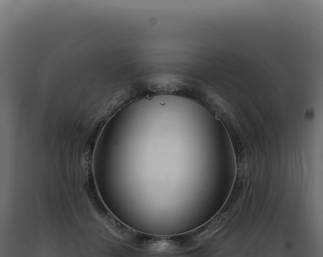X0000089970460200707061204