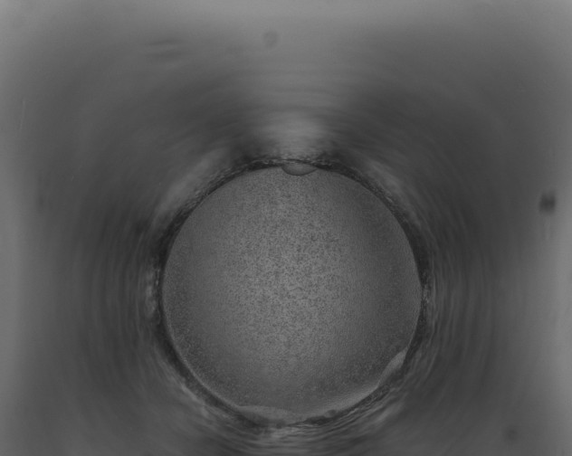 X0000089970462200707061204