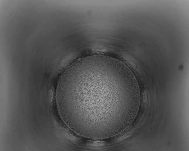 X0000089970463200707061204