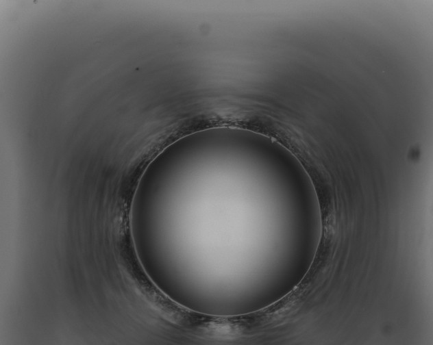 X0000089970464200707061204