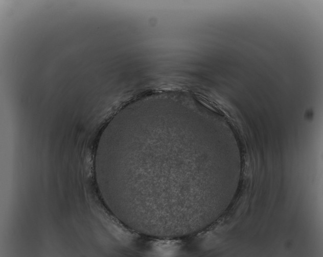 X0000089970465200707061204