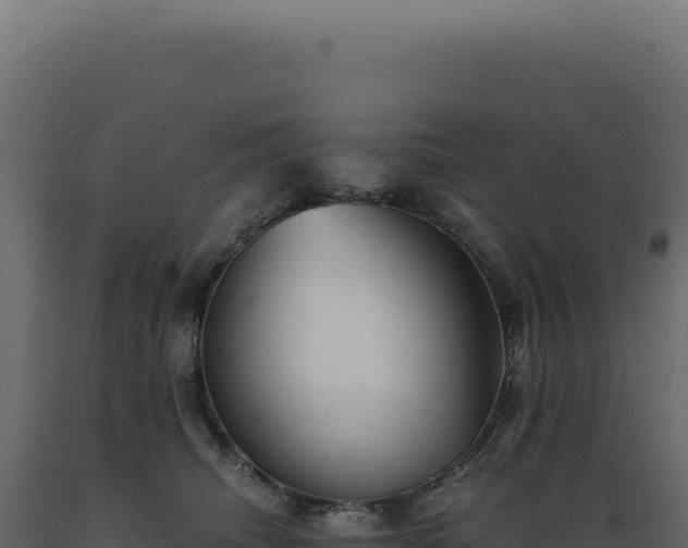 X0000089970468200707061204