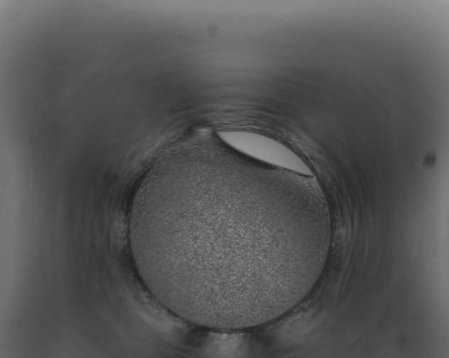 X0000089970469200707061204
