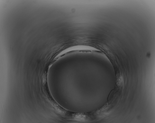 X0000089970471200707061204