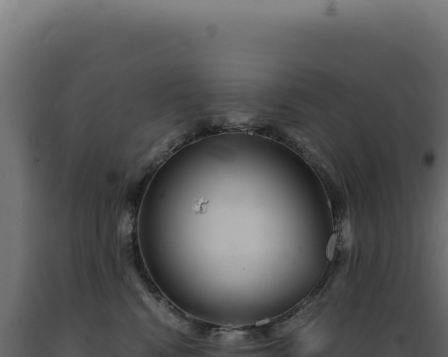 X0000089970472200707061204