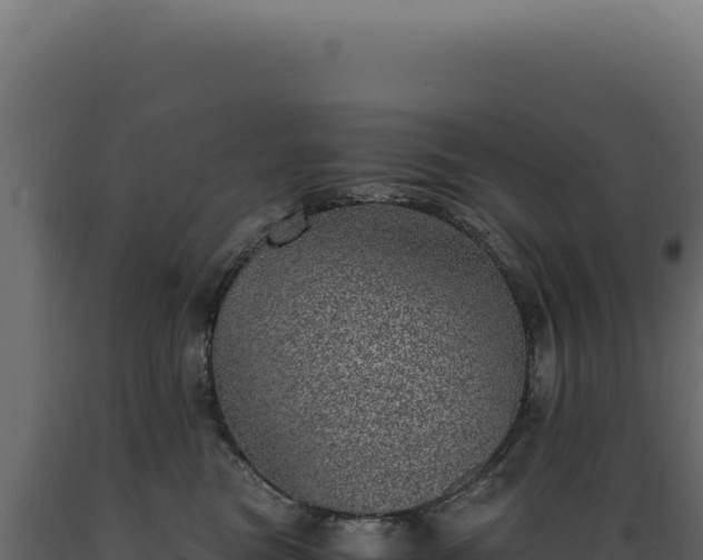 X0000089970473200707061204