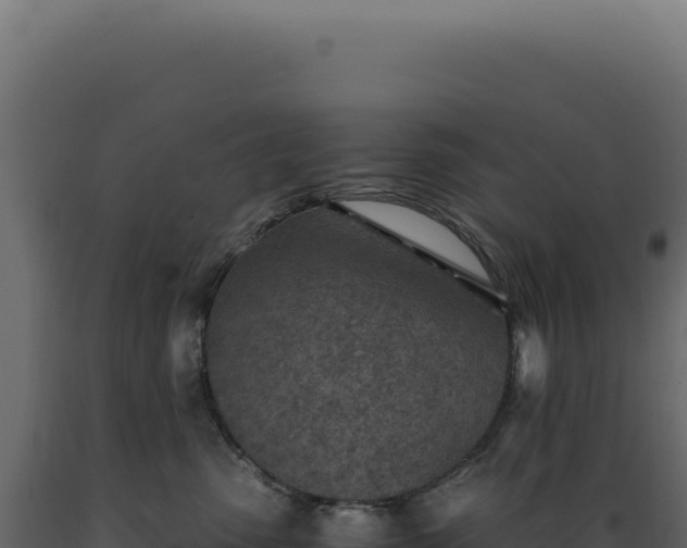 X0000089970475200707061204