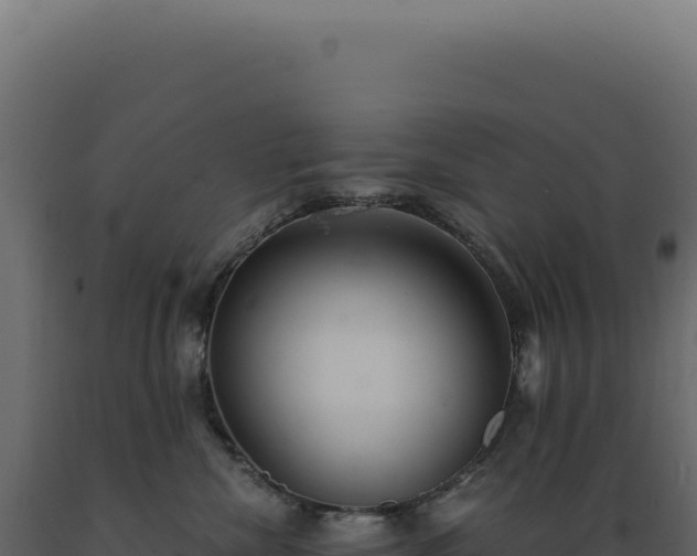 X0000089970476200707061204