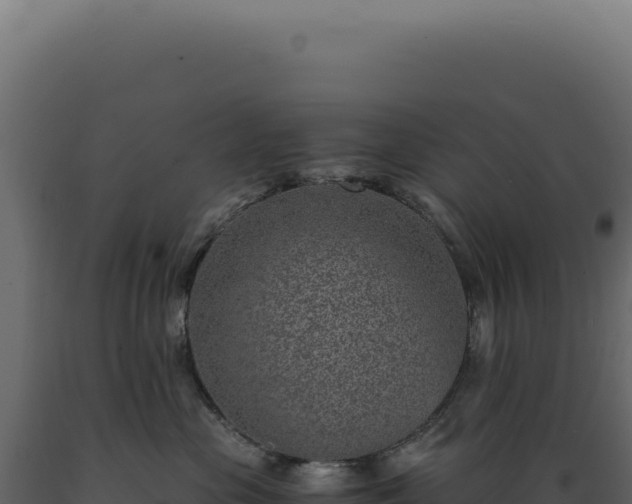 X0000089970477200707061204
