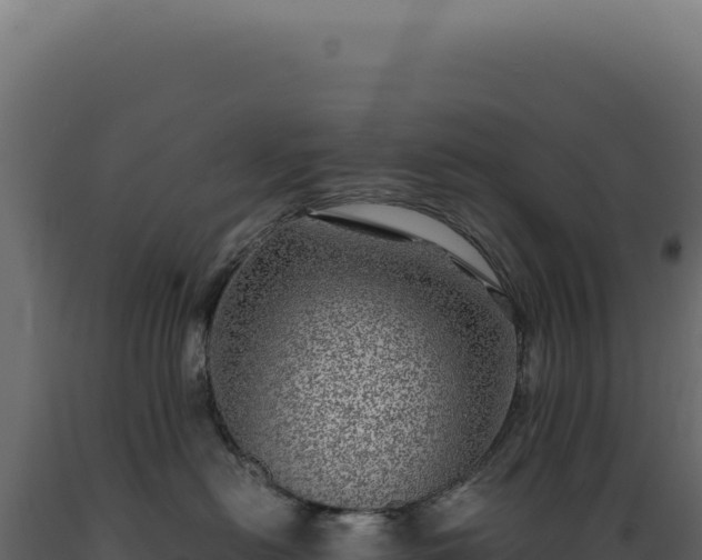 X0000089970478200707061204