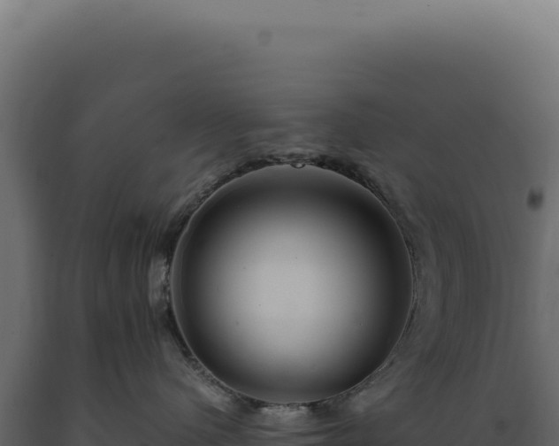 X0000089970480200707061204