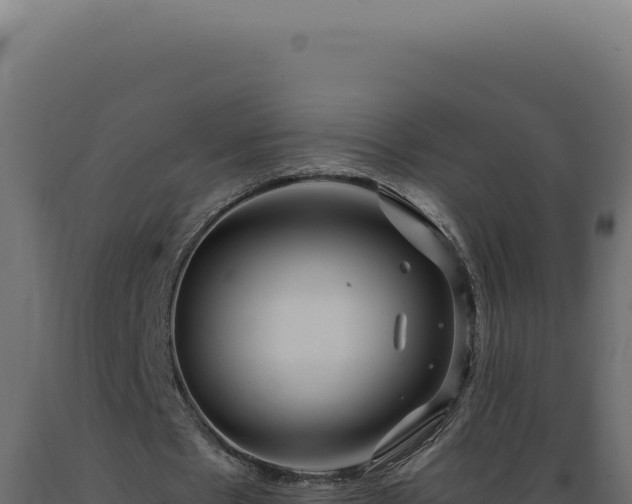 X0000089970481200707061203