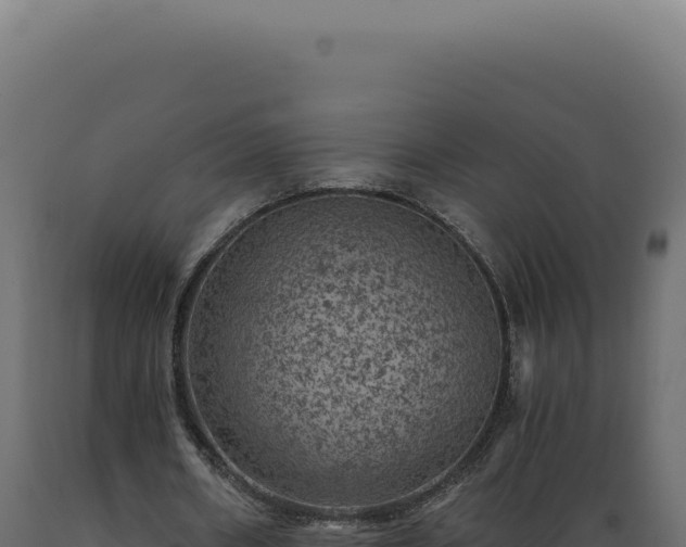 X0000089970482200707061203