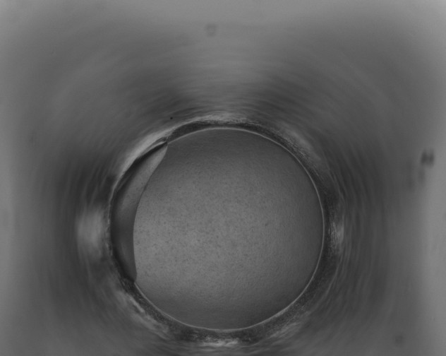 X0000089970484200707061203