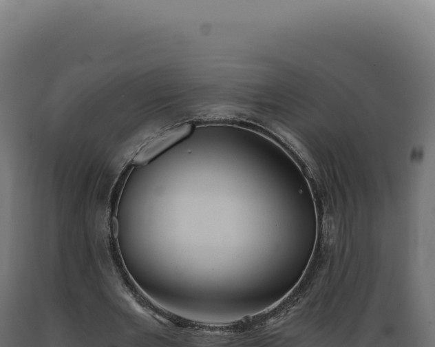 X0000089970485200707061203
