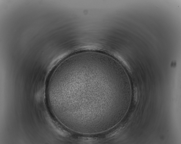 X0000089970486200707061203