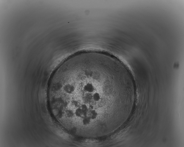 X0000089970487200707061203