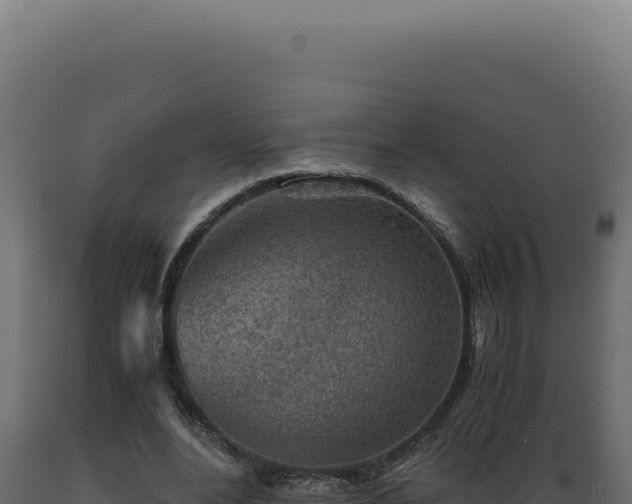 X0000089970488200707061203