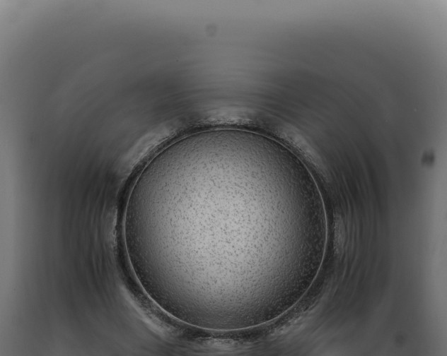 X0000089970490200707061203