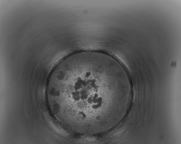 X0000089970491200707061203