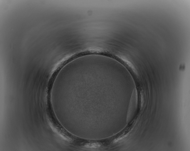 X0000089970492200707061203