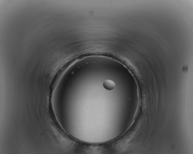 X0000089970493200707061203
