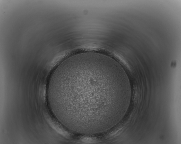 X0000089970494200707061203